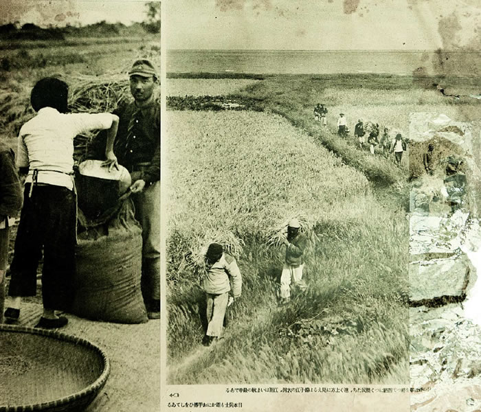 1937年淞沪会战（八·一三事变）影像资料大全插图2